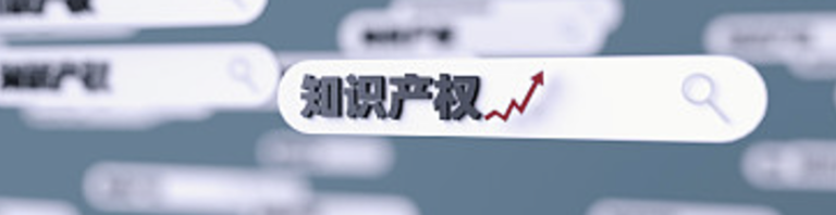 知识产权保护场景